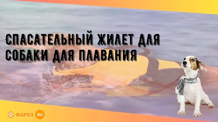 Спасательный жилет для собаки для плавания